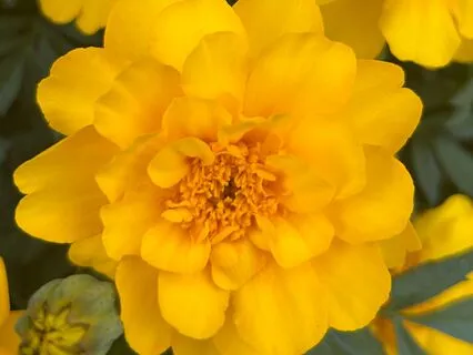 Are We Speaking The Same Language?