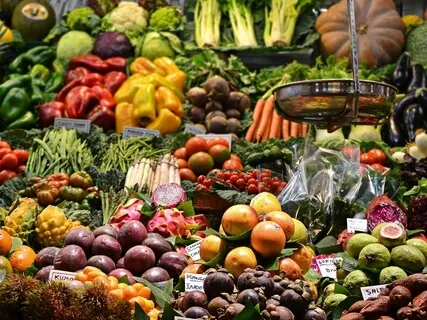 Cooked vs. Raw Foods | The Ultimate Diet: Nature's Diet