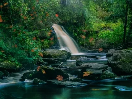 Cool Calm Collected State Of Mind Meditation