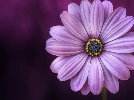 Cool Your Fire With Yoga