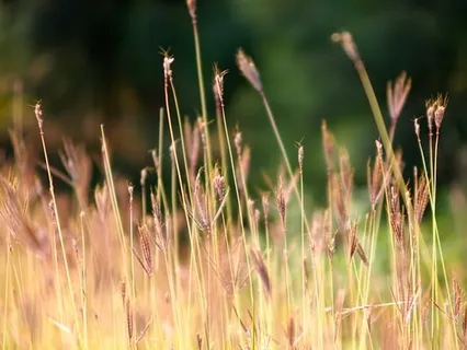 Cooling And Discreet Technique To Calm The Body + Mind At Times Of Stress 