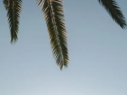 Cooling Breath For Immunity