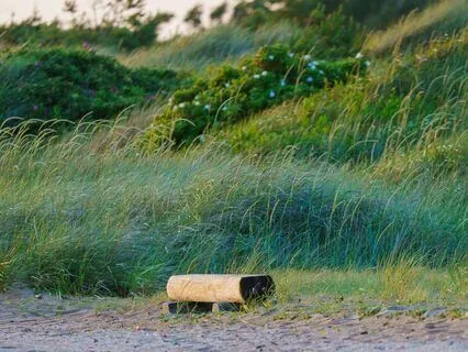 Cooling Breath & Relaxation