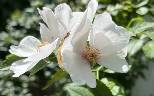 Coping As A Caregiver: Part 2, One Initial Step