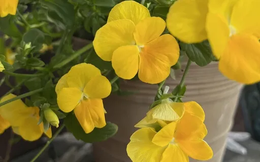 Coping As A Caregiver: Part 3, Be Open To Receive