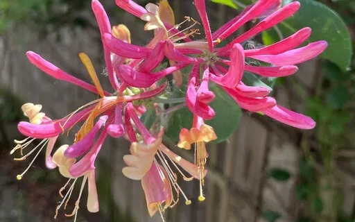 Coping As A Caregiver: Part 4, Permission To Have A Bad Day 