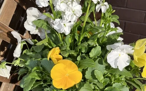 Coping As A Caregiver: Stress From Sudden Change