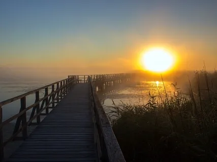 Coping With Chaos: Part 1 of 3 - Preparatory Meditation on Building Better Boundaries