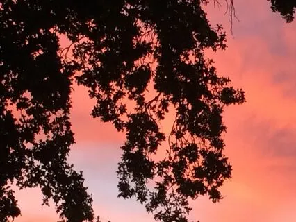 Coping With Difficult News