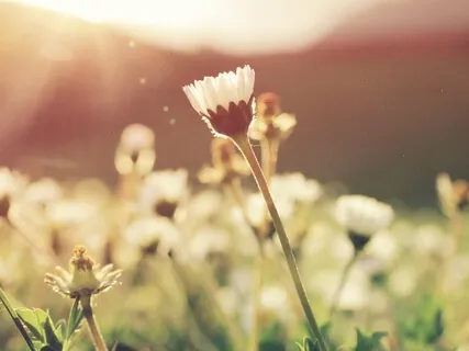 Coping With Emotional Discomfort From Setting Boundaries