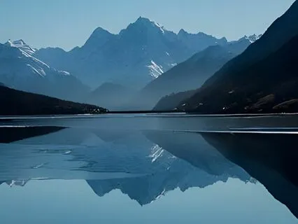 Using Mindfulness & Gratitude To Thrive Post-Election