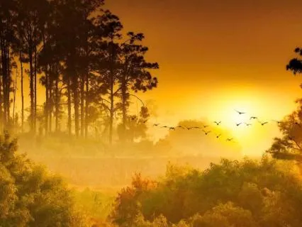 Copper Dawn