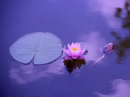 Story Of Buddha And Ananda