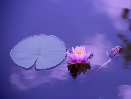 How To Deal With Difficult Emotions On The Advaita Path?