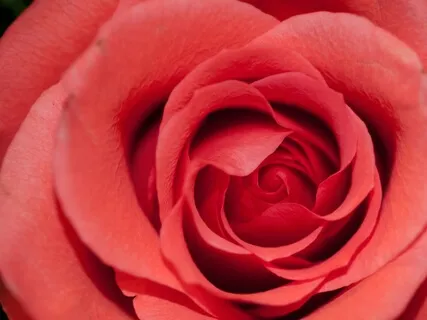 Coral Self-Nurturing Practice