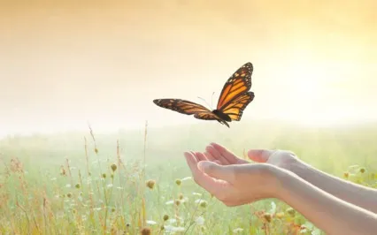 Cord Cutting And Energetic Clearing Meditation