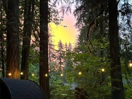 Cord Cutting And Energy Clearing Meditation