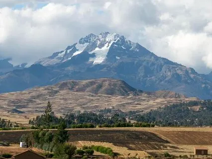 Cord Cutting Ceremony