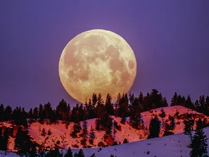 Cord Cutting: Letting Go