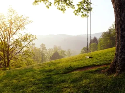 Cord Cutting: Letting Someone Go