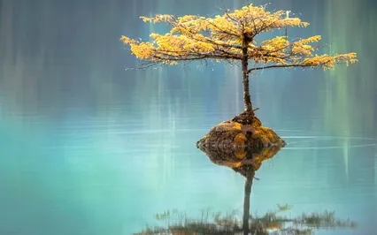 Cord Cutting Meditation