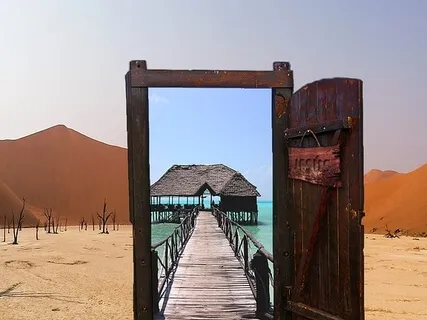 Cord Cutting Practice