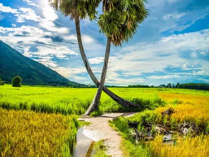 Cord Cutting Meditation