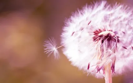 Cord-Cutting Meditation: Release Unhealthy Attachments