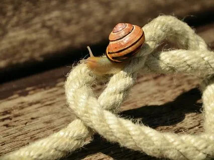 Cord-Cutting Meditation W/ Oracle Message, No Music