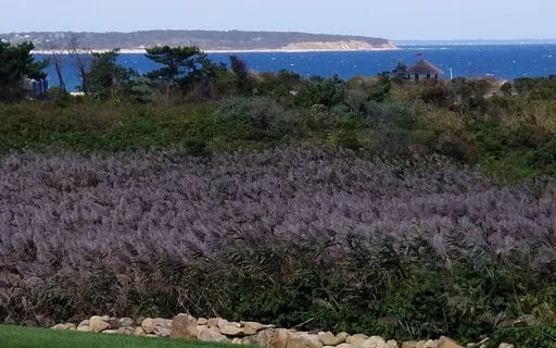 Cord Cutting Meditation With Reiki