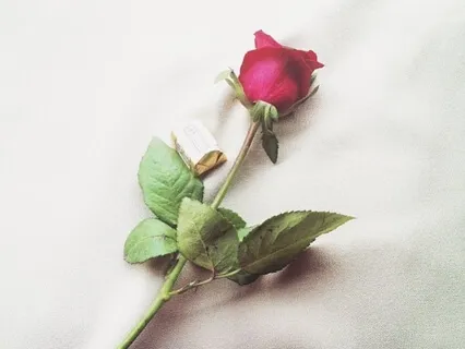 Cord Cutting Meditation