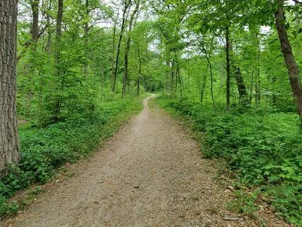 Cord Cutting - Regaining Your Energy & Power