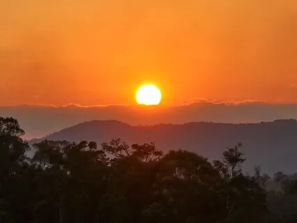 Cord-Cutting - Release Negative Energy, Thoughts - Healing