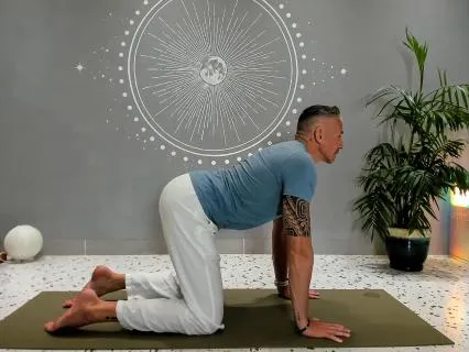 Core Hatha Postures - Beginner's Practice