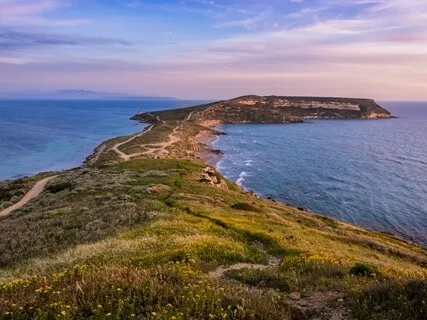 Facing  Fear & Panic In Times Of Crisis