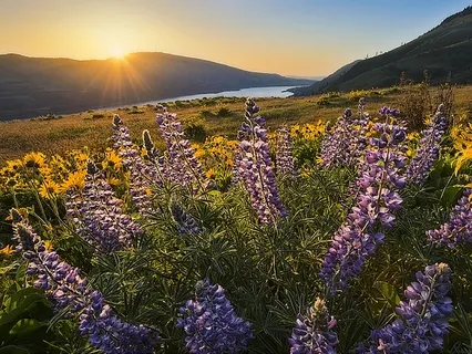 Corona Healing Meditation With Archangel Gabriel