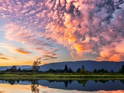 Corona Virus Anxiety & Stress Relief For COVID 19 Pandemic