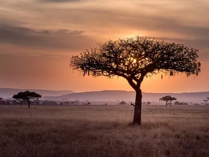 Coronavirus: 10 Insights To Find The Silver Lining & Hidden Benefits  