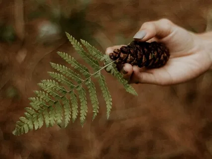 Ease Coronavirus Anxiety