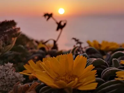 Calm Your Mind & Body During The Coronavirus