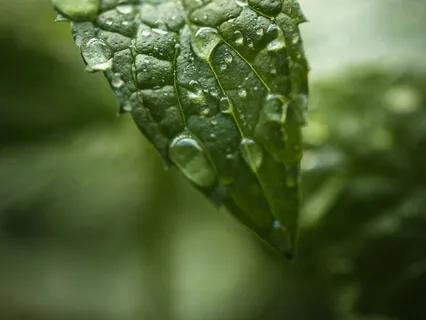 Coronavirus DeStress