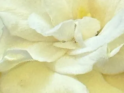 Correlation Of Inner And Outer Space