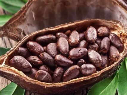 Corriannda's Witch Tales | Cacao Spell