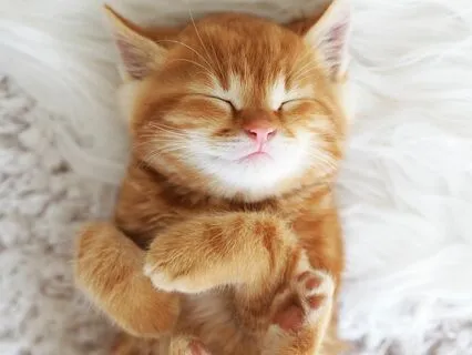 Corriannda's Witch Tales | Saying Goodbye