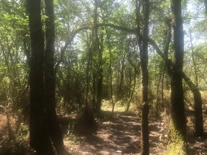 Corsica : Water Sounds And Calming Music