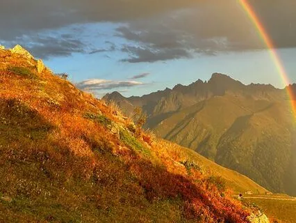 Cortisol Eliminator | Stress Removal (528Hz Theta Waves)