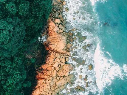 Cortisol Removal Through Frequency | Return To Perfect State