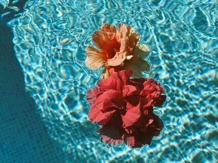 Cortisol Removal Through Frequency V2 | Stress Relief (8D)