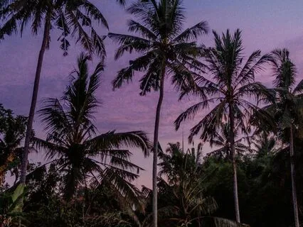 Cortisol Removal Through Frequency V3 | Stress Relief (8D)