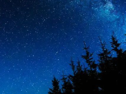 Cosmic Echo Of Feathers And Stars